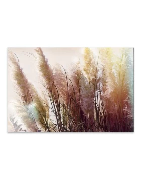 Soft Pampas Megapap painting on canvas digital printing 90x60x3cm.