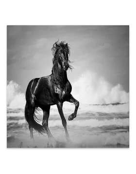 Black Horse Megapap painting on canvas digital printing 60x60x3cm.